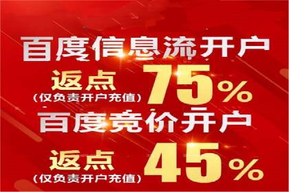 案例剖析：百度竞价排名助力企业突破困境